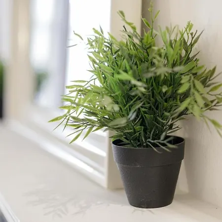 Apartament Golden Apartments&glamping-u11 Wrocław